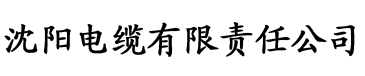 重生之老公请接招水沫缘浅电缆厂logo